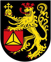 türnotdienst frankenthal eppstein